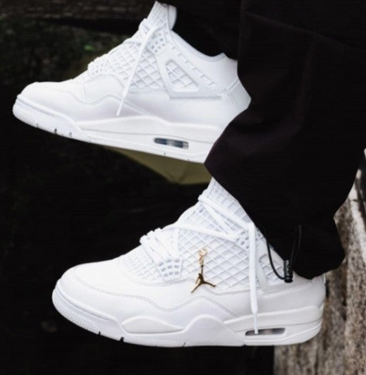 # Nike Air Jordan 4 Net UA - Elevatekick 